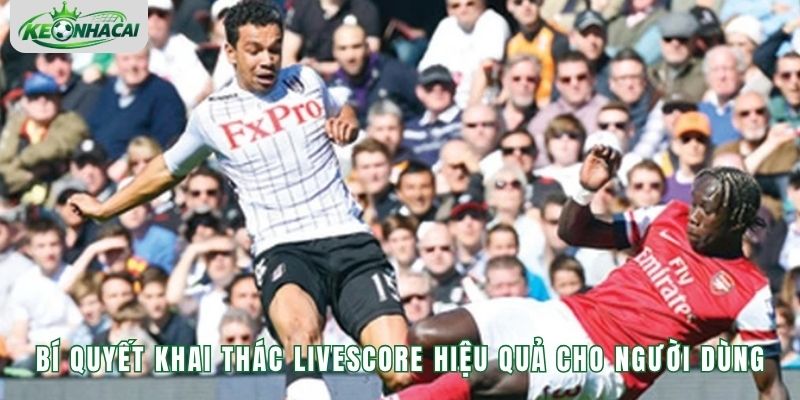 Bí quyết khai thác Livescore hiệu quả cho người dùng
