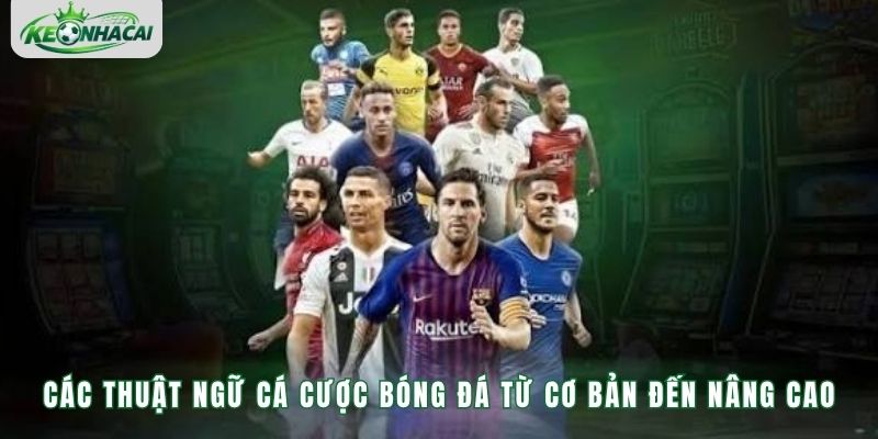 Các Thuật Ngữ Cá Cược Bóng Đá – Giải Thích Các Khái Niệm Cơ Bản