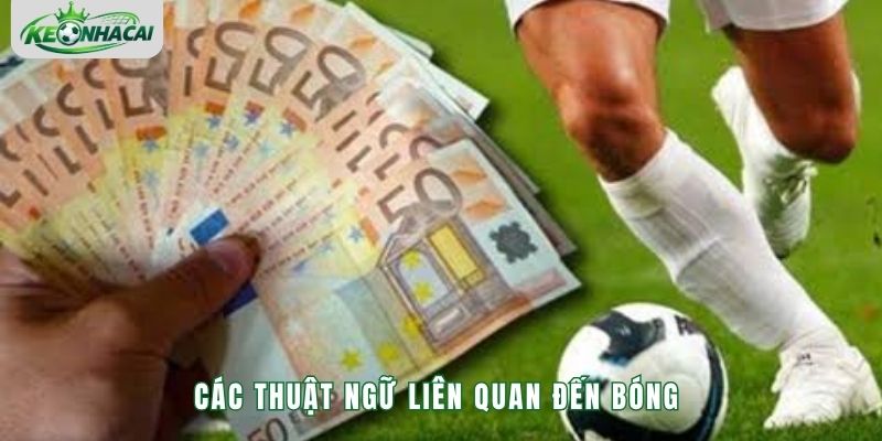 Các thuật ngữ liên quan đến bóng