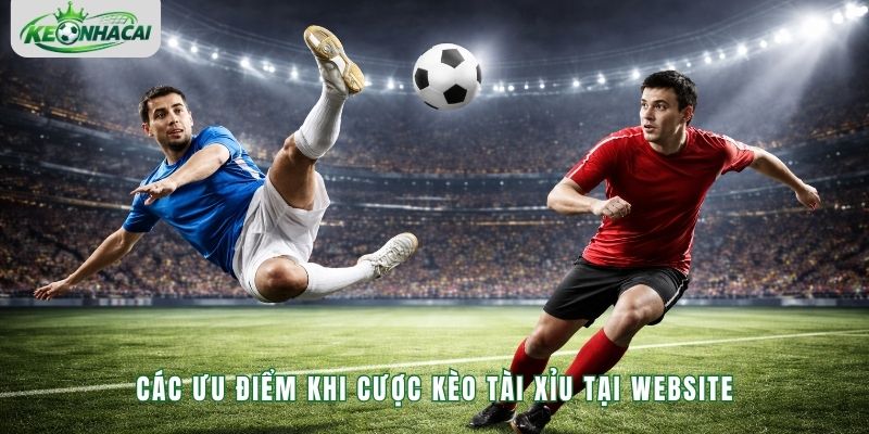 Các ưu điểm khi cược kèo tài xỉu tại website