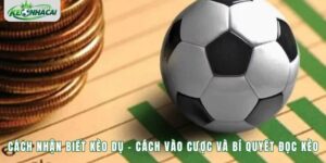 Cách Nhận Biết Kèo Dụ – Cách Vào Cược Và Bí Quyết Đọc Kèo