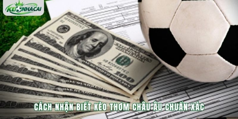 Chiến thuật bất bại khi tham gia đặt cược kèo thơm