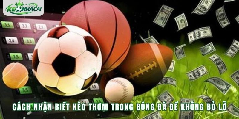 Cách Nhận Biết Kèo Thơm - Kinh Nghiệm Phân Tích Kèo Bóng Đá
