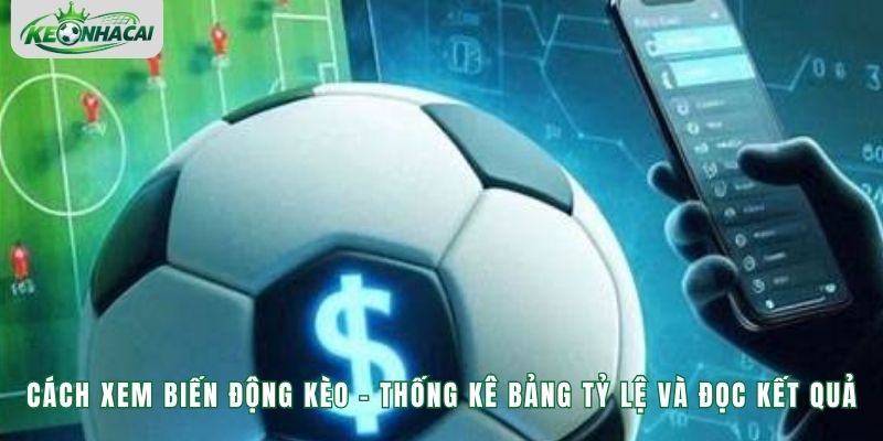 Cách Xem Biến Động Kèo - Thống Kê Bảng Tỷ Lệ Và Đọc Kết Quả
