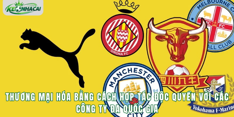 Thương mại hóa bằng cách hợp tác độc quyền với các công ty đa quốc gia