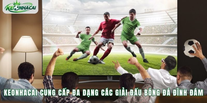 Keonhacai cung cấp đa dạng các giải đấu bóng đá đình đám