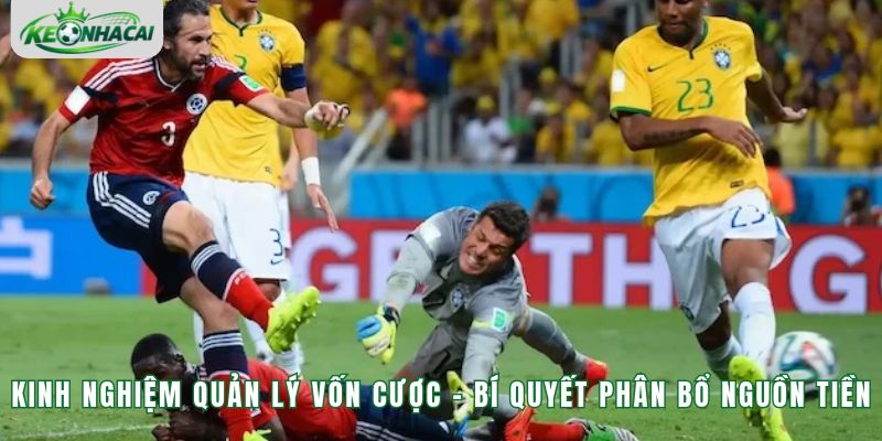 Kinh Nghiệm Quản Lý Vốn Cược - Bí Quyết Phân Bổ Nguồn Tiền