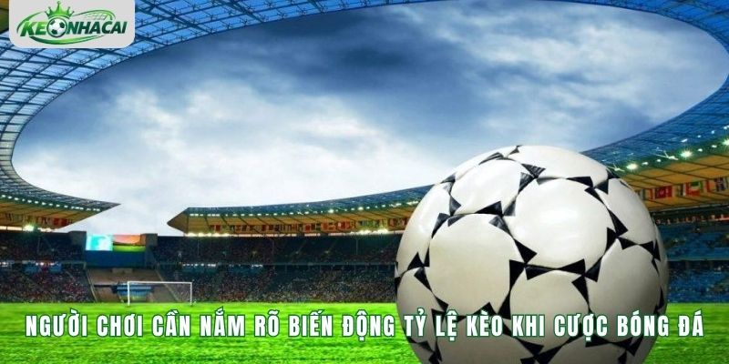 Người chơi cần nắm rõ biến động tỷ lệ kèo khi cược bóng đá