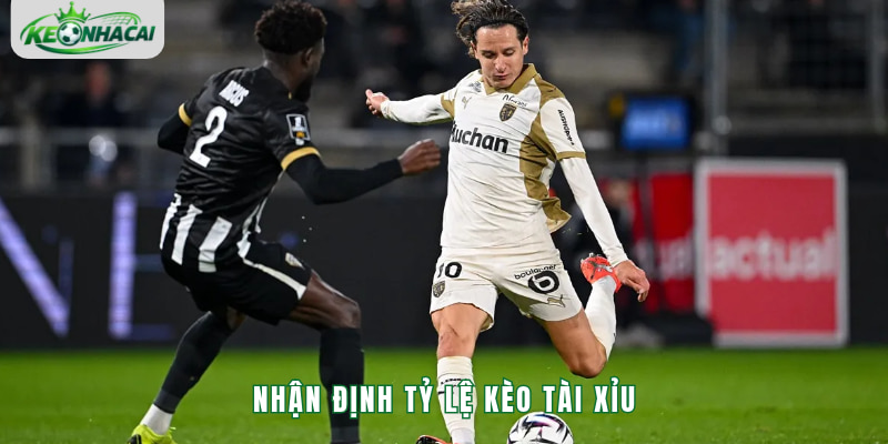 Nhận định tỷ lệ kèo tài xỉu