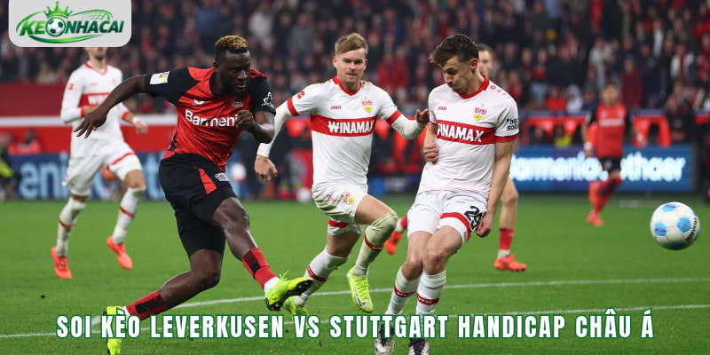 Soi kèo Leverkusen vs Stuttgart Handicap châu Á