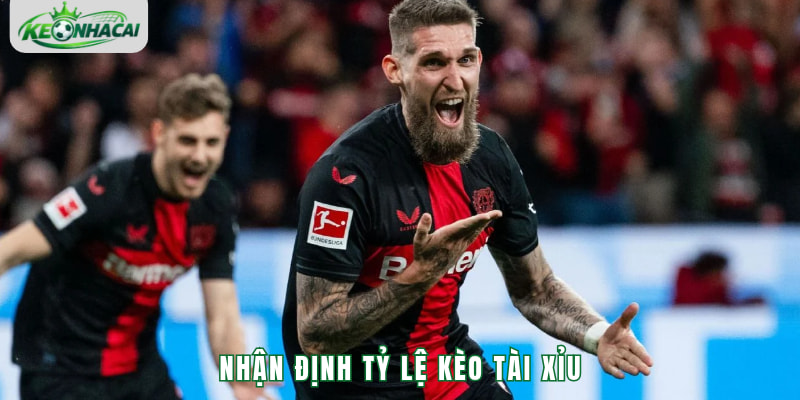 Nhận định tỷ lệ kèo tài xỉu