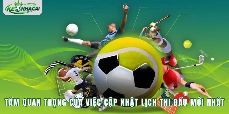 Tầm quan trọng của việc cập nhật lịch thi đấu mới nhất