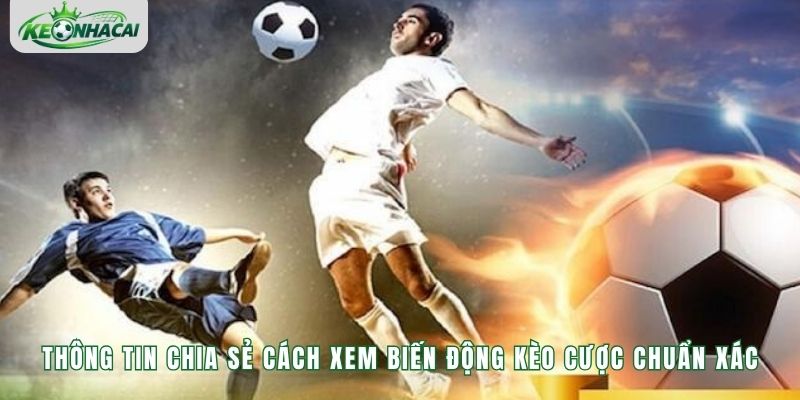 Thông tin chia sẻ cách xem biến động kèo cược chuẩn xác