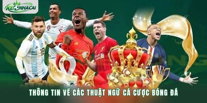 Thông tin về các thuật ngữ cá cược bóng đá
