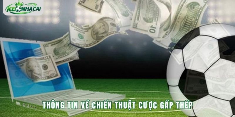 Thông tin về chiến thuật cược gấp thếp