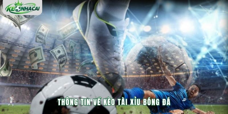 Thông tin về kèo tài xỉu bóng đá